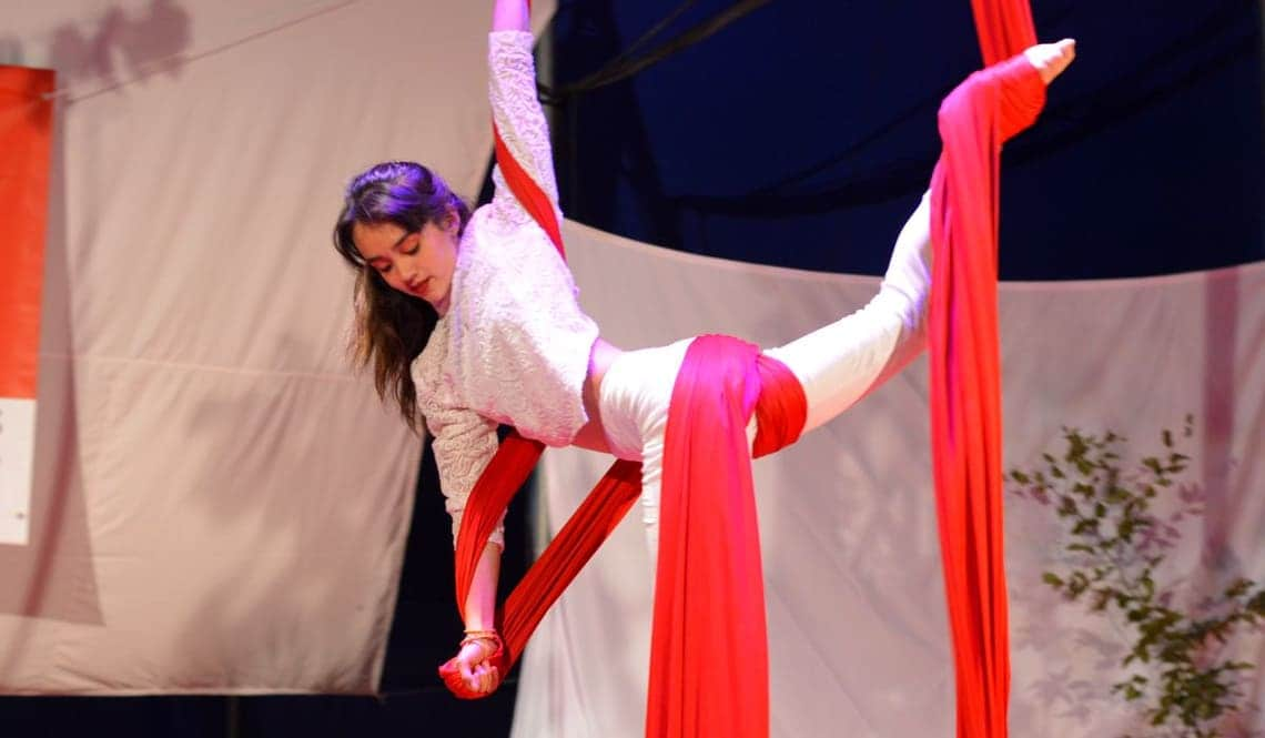 Stage de cirque aérien par une ado